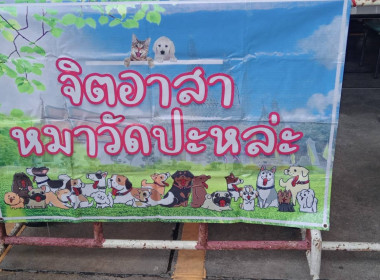 บริการทำหมันฟรีสุนัข-แมว ... พารามิเตอร์รูปภาพ 18