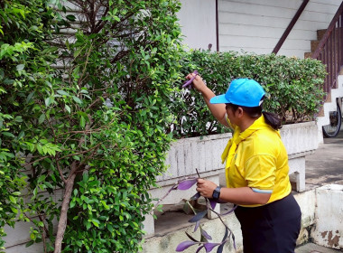เข้าร่วมโครงการจัดกิจกรรมจิตอาสาบำเพ็ญสาธารณประโยชน์และบำเพ็ญสาธารณกุศล ... พารามิเตอร์รูปภาพ 19