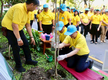 โครงการกิจกรรมเฉลิมพระเกียรติเพื่อน้อมรำลึกถึงพระมหากรุณาธิคุณของพระบาทสมเด็จพระจุลจอมเกล้าเจ้าอยู่หัว ... พารามิเตอร์รูปภาพ 8