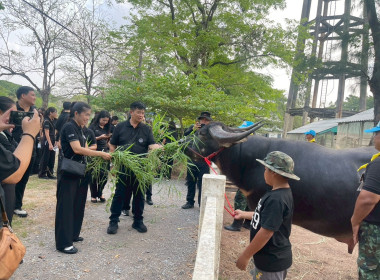 อบรมหลักสูตรการฝึกฝนปฏิบัติและดูงานเศรษฐกิจพอเพียง พารามิเตอร์รูปภาพ 9